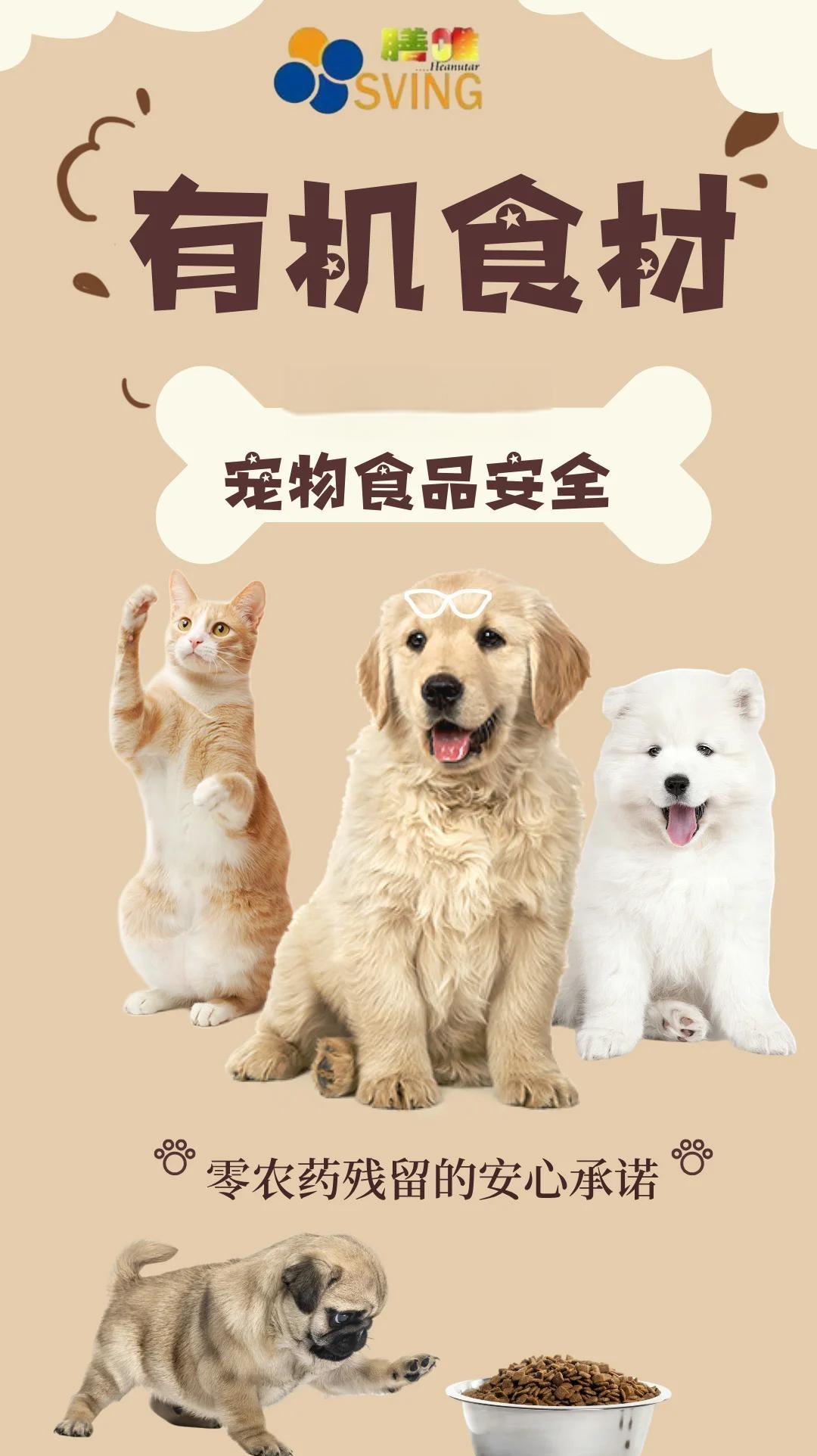 從餐桌到餐碗 有機食材如何為寵物健康筑起天然屏障